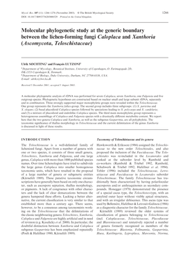 Molecular Phylogenetic Study at the Generic Boundary Between the Lichen-Forming Fungi Caloplaca and Xanthoria (Ascomycota, Teloschistaceae)