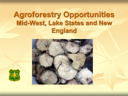 Agroforestry Opportunities Mid-West, Lake States and New England Northeast Ohio Windbreak Program