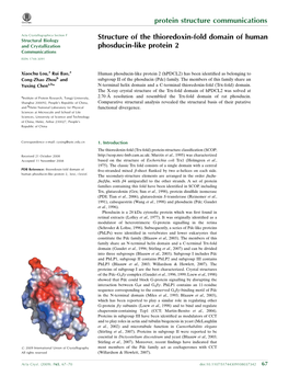 Structure of the Thioredoxin-Fold Domain of Human Phosducin-Like