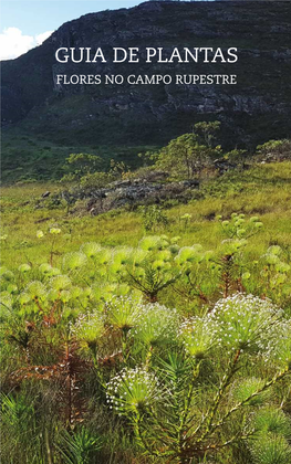 Guia De Plantas – Flores No Campo Rupestre, Traz Algumas Espécies Dessa Rica Flora Encontrada Nas Reservas Particulares Do Patrimônio Natural (RPPN´S) Da Vale