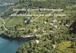 Spasertur Gjennom Hyllestadgarden - Kulturlandskap Som Har Endra Karakter