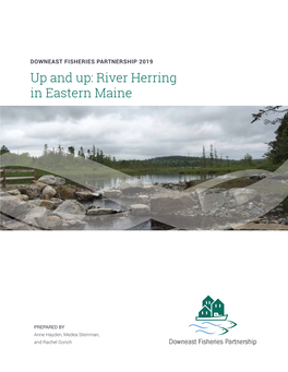 Up and Up: River Herring in Eastern Maine