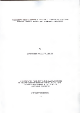 Sirenian Feeding Apparatus: Functional Morphology of Feeding Involving Perioral Bristles and Associated Structures