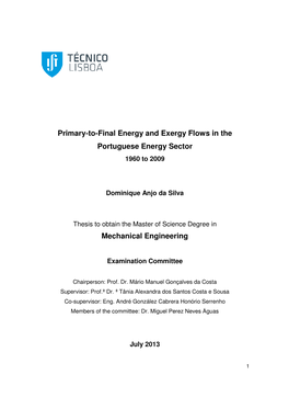 Final Energy and Exergy Flow Portuguese Energy Sector