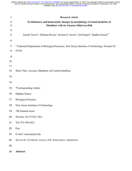 Evolutionary and Homeostatic Changes in Morphology of Visual Dendrites of Mauthner Cells in Astyanax Blind Cavefish