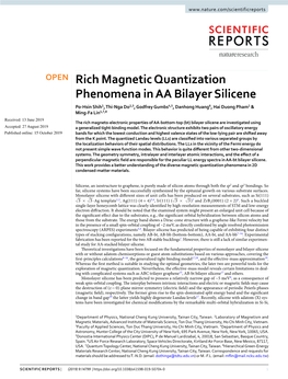 Rich Magnetic Quantization Phenomena in AA Bilayer Silicene