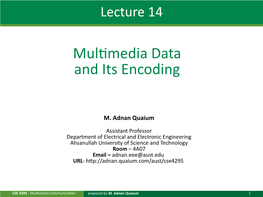Multimedia Data and Its Encoding
