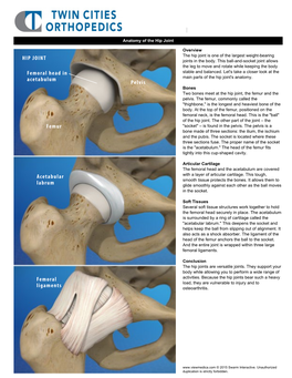 Femur Pelvis HIP JOINT Femoral Head in Acetabulum Acetabular