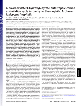 A Dicarboxylate/4-Hydroxybutyrate Autotrophic Carbon Assimilation Cycle in the Hyperthermophilic Archaeum Ignicoccus Hospitalis