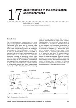 An Introduction to the Classification of Elasmobranchs