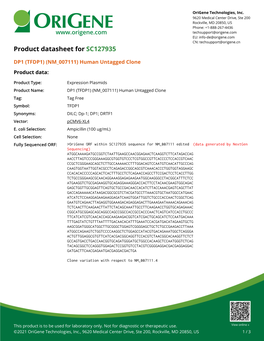 DP1 (TFDP1) (NM 007111) Human Untagged Clone Product Data