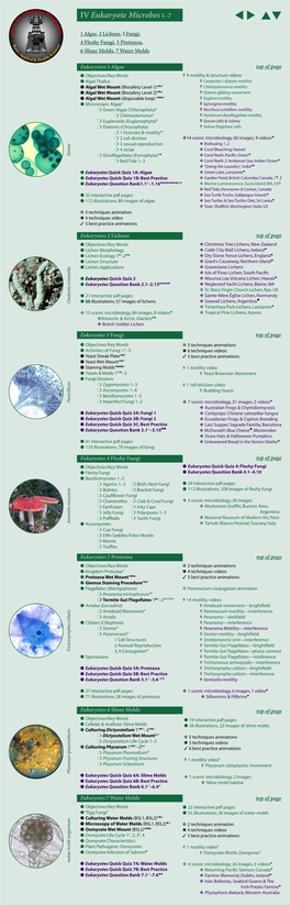 Eukaryotes Microbes