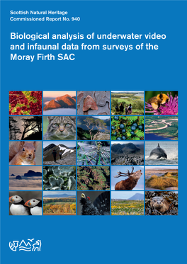 SNH Commissioned Report 940: Biological Analysis of Underwater