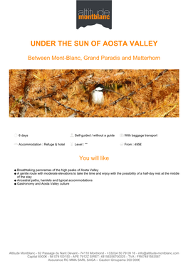 Under the Sun of Aosta Valley