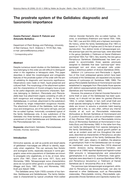 The Prostrate System of the Gelidiales: Diagnostic and Taxonomic Importance