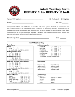 DEPUTY 1 to DEPUTY 2 Belt