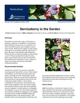 Serviceberry in the Garden Kristan Crouch, Student, Tiffany Maughan, Research Associate, and Brent Black, Extension Fruit Specialist