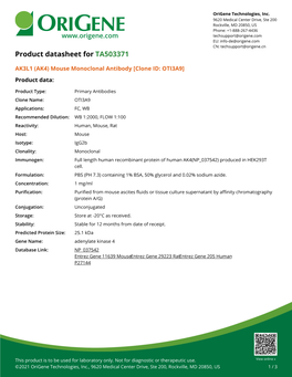 AK3L1 (AK4) Mouse Monoclonal Antibody [Clone ID: OTI3A9] Product Data