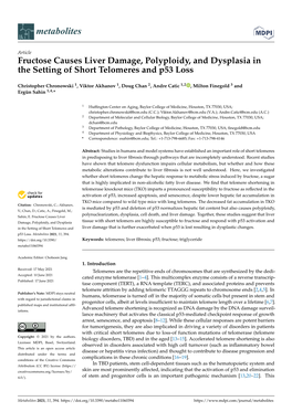 Fructose Causes Liver Damage, Polyploidy, and Dysplasia in the Setting of Short Telomeres and P53 Loss