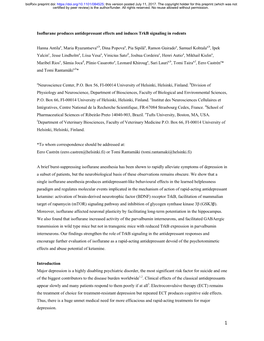 Isoflurane Produces Antidepressant Effects and Induces Trkb Signaling in Rodents