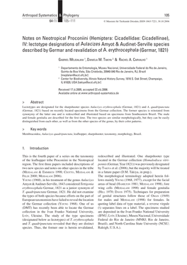 Notes on Neotropical Proconiini (Hemiptera: Cicadellidae: Cicadellinae), IV: Lectotype Designations of Aulacizes Amyot &