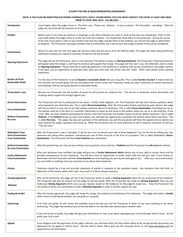 Script for Pro Se (Non-Represented) Defendants