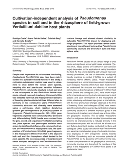 Cultivation-Independent Analysis of Pseudomonas Species in Soil and in the Rhizosphere of ﬁeld-Grown Verticillium Dahliae Host Plants