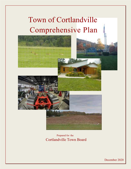 Comprehensive Plan (Draft)