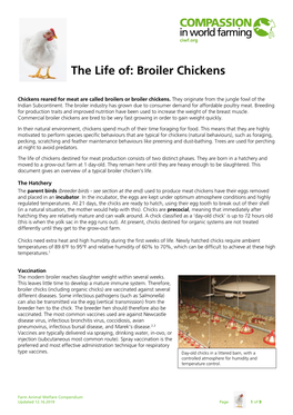 Broiler Chickens