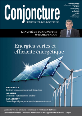 Energies Vertes Et Efficacité Énergétique