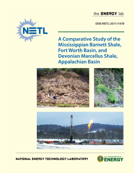 A Comparative Study of the Mississippian Barnett Shale, Fort Worth Basin, and Devonian Marcellus Shale, Appalachian Basin