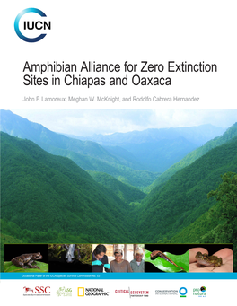 Amphibian Alliance for Zero Extinction Sites in Chiapas and Oaxaca