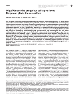 Plp-Positive Progenitor Cells Give Rise to Bergmann Glia in the Cerebellum