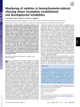 Monitoring of Switches in Heterochromatin-Induced Silencing Shows Incomplete Establishment and Developmental Instabilities