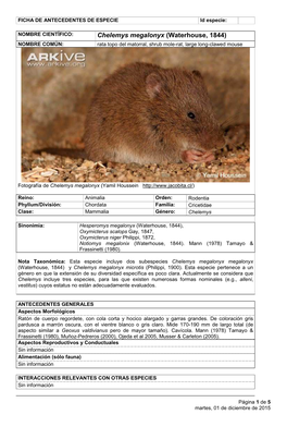 Chelemys Megalonyx (Waterhouse, 1844) NOMBRE COMÚN: Rata Topo Del Matorral, Shrub Mole-Rat, Large Long-Clawed Mouse