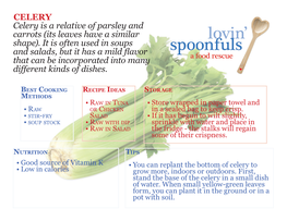 CELERY Celery Is a Relative of Parsley and Carrots (Its Leaves Have a Similar Shape)