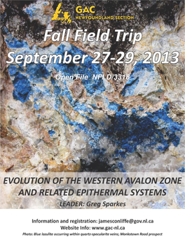 Evolution of the Western Avalon Zone and Related Epithermal Systems
