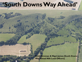 'South Downs Way Ahead'