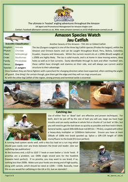 Jau Catfish Amazon Species Watch