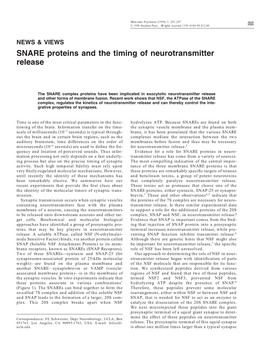 SNARE Proteins and the Timing of Neurotransmitter Release