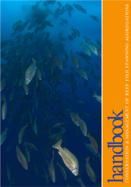 V a Tion & Management of Reef Fish Sp a Wning Aggrega Tions
