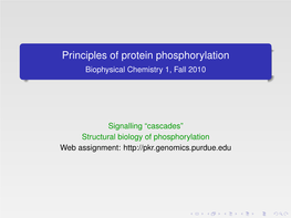 Principles of Protein Phosphorylation Biophysical Chemistry 1, Fall 2010