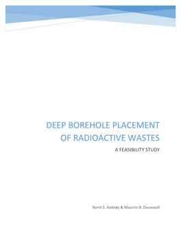 Deep Borehole Placement of Radioactive Wastes a Feasibility Study