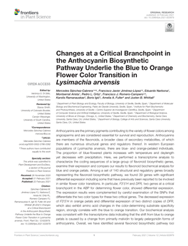 Changes at a Critical Branchpoint in the Anthocyanin Biosynthetic Pathway Underlie the Blue to Orange Flower Color Transition in Lysimachia Arvensis
