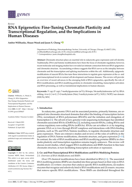 RNA Epigenetics: Fine-Tuning Chromatin Plasticity and Transcriptional Regulation, and the Implications in Human Diseases