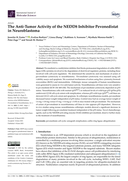 The Anti-Tumor Activity of the NEDD8 Inhibitor Pevonedistat in Neuroblastoma