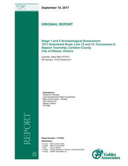 Original Report