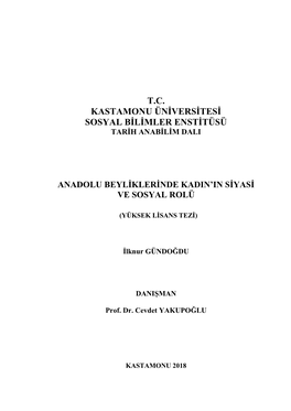 T.C. Kastamonu Üniversitesi Sosyal Bilimler Enstitüsü Tarih Anabilim Dali