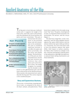 Applied Anatomy of the Hip RICARDO A