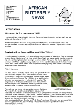 African Butterfly News Can Be Downloaded Here